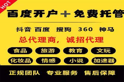 百度优化推广案例：打造行业领先品牌